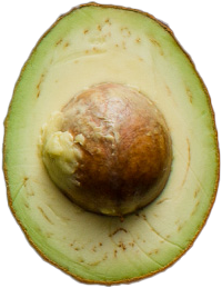 アボガド