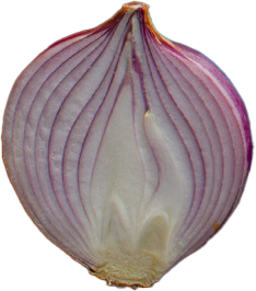 タマネギ